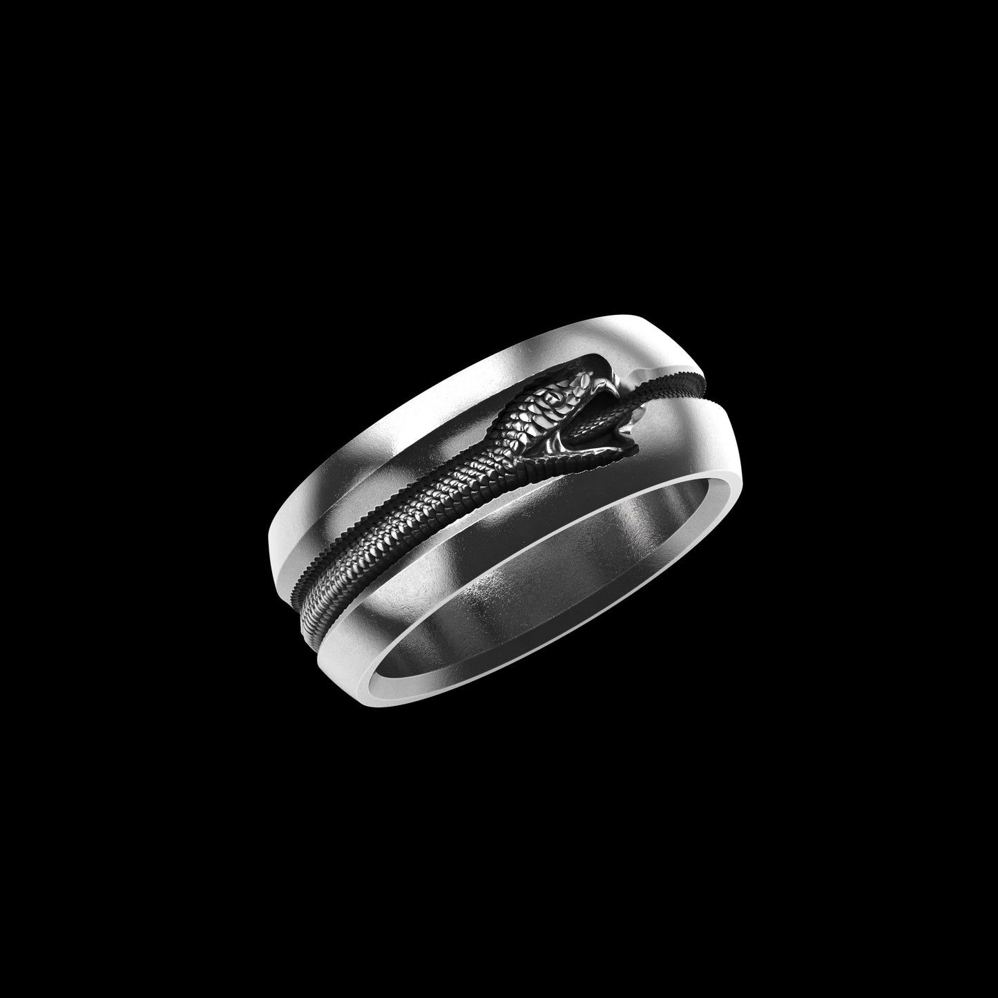 Ouroboros Band Sterling Silver