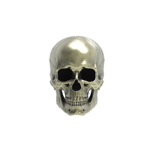 Bronze Anatomical Skull Ring (SIA) Full