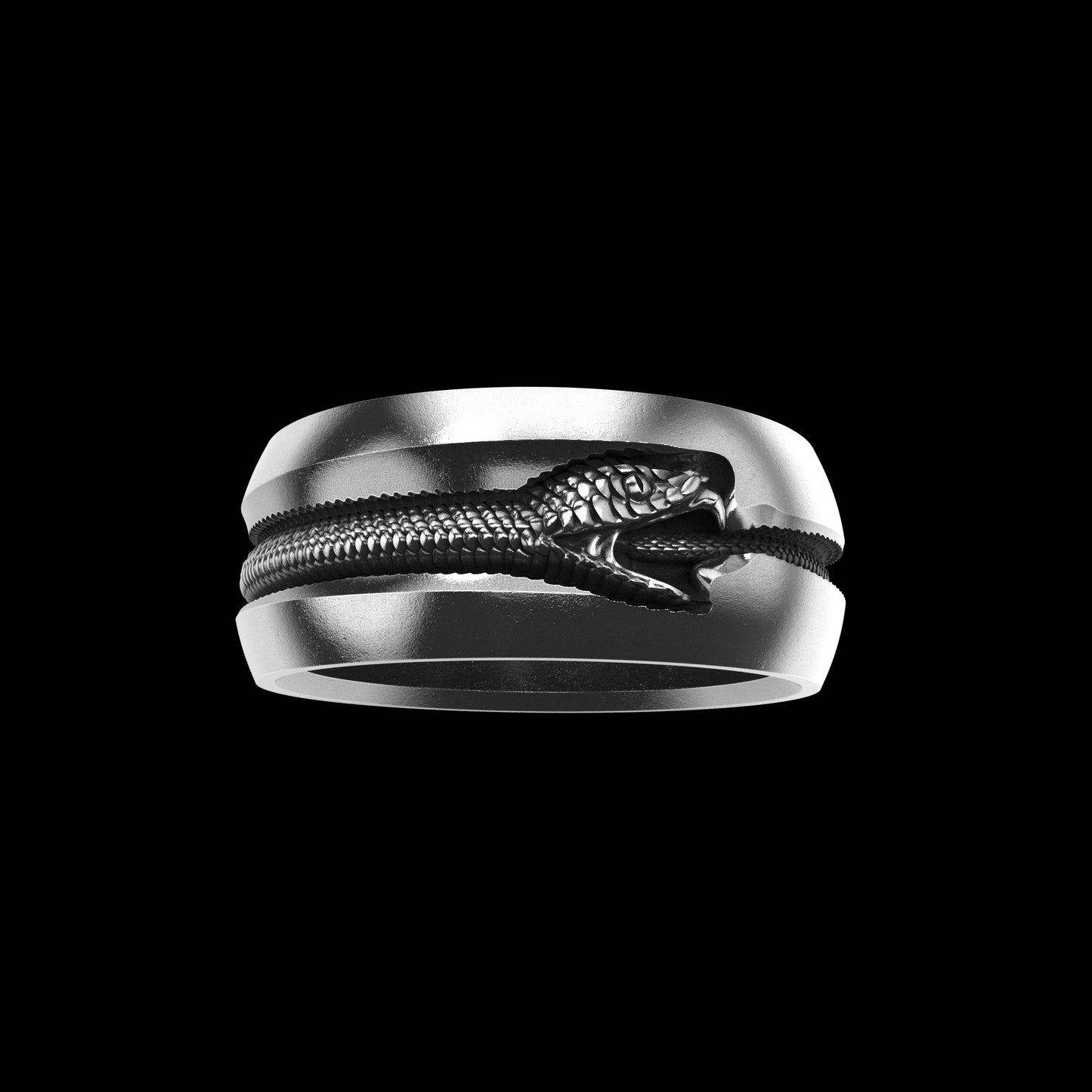 Ouroboros Band Sterling Silver
