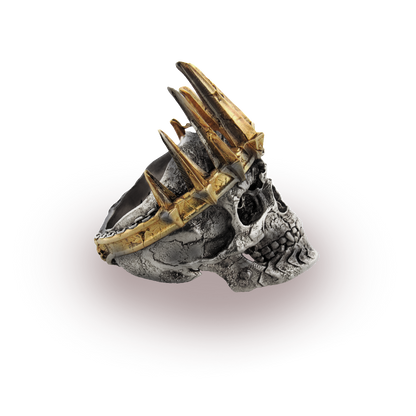 Death Knight Ring | Duality
