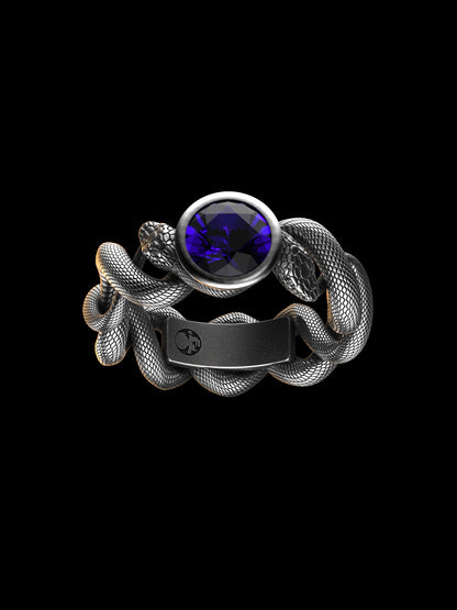 Ouroboros Mate Ring