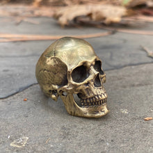 Load image into Gallery viewer, Bronze Anatomical Skull Ring (SIA) Full