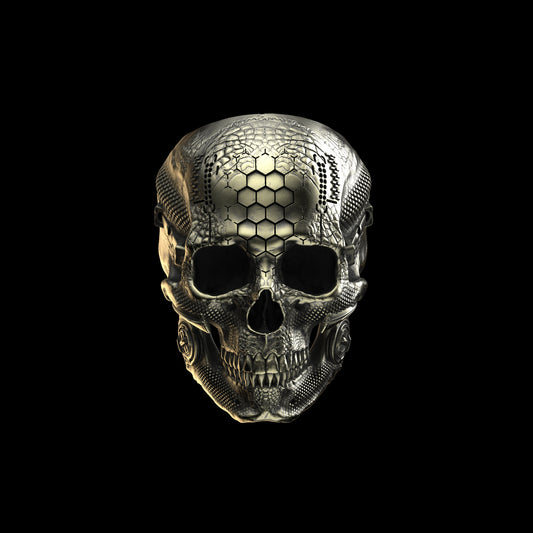 Brass TechSkull.1 Ring