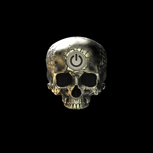 Brass TechSkull.2 Ring