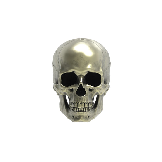 Brass Anatomical Skull Ring (SIA) Full
